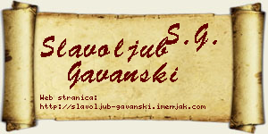 Slavoljub Gavanski vizit kartica